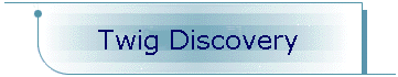 Twig Discovery